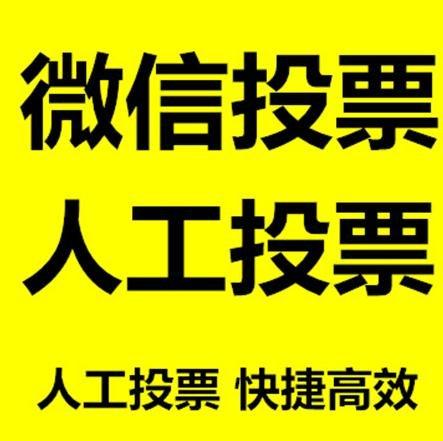 海口市投票活动拉票能被查出来吗？如何操作能不被发现？